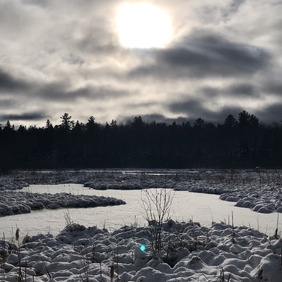 Meet your Posher, Erica - Picture 4 of 4